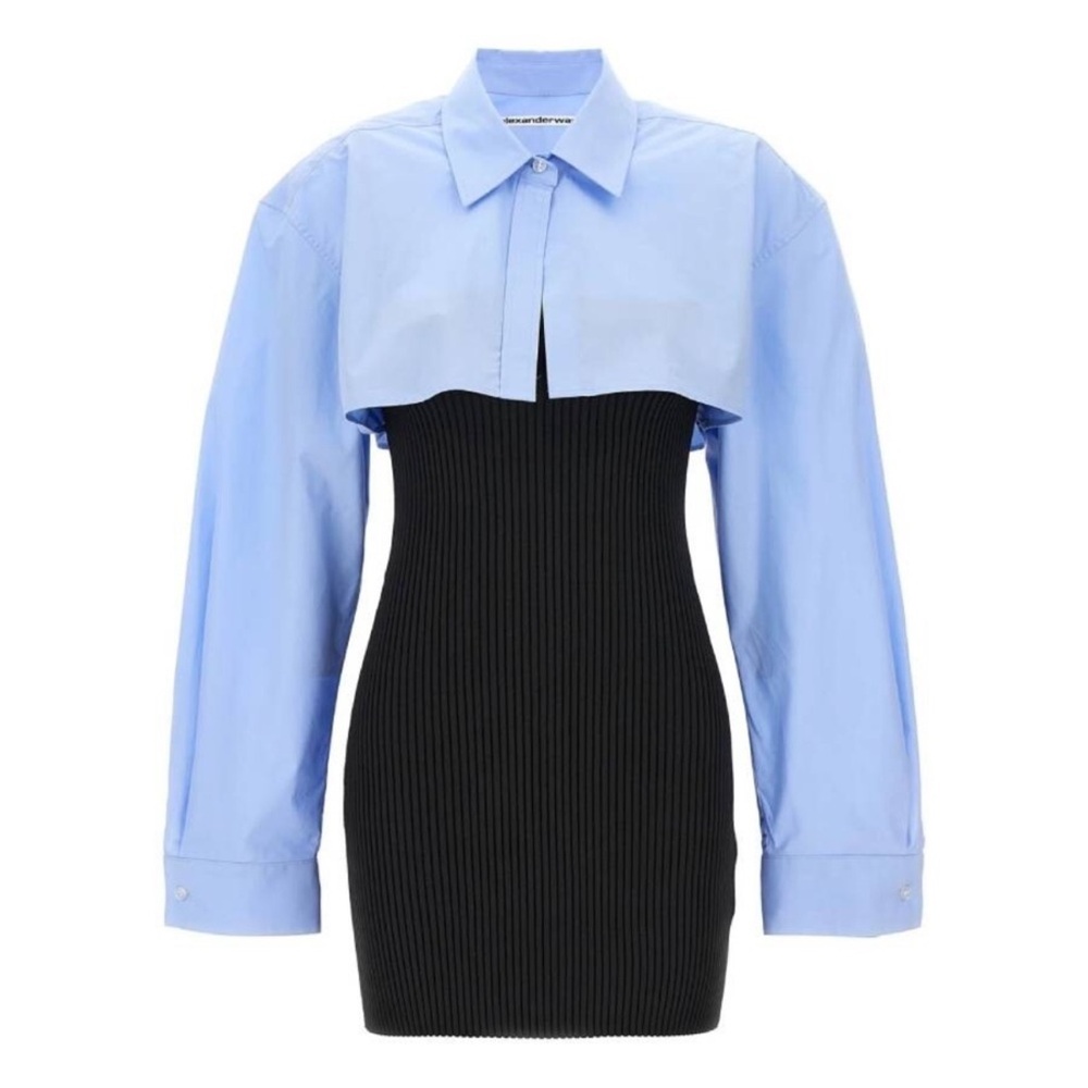 Alexander Wang Black and Light Blue Long Sleeve Dress